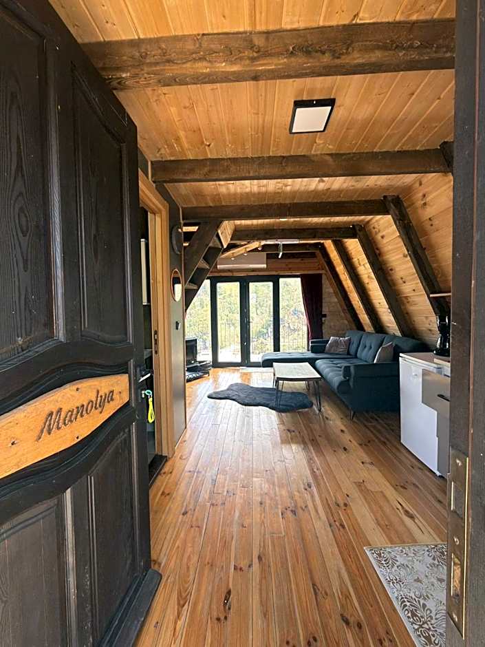 Danzi camping tiny house