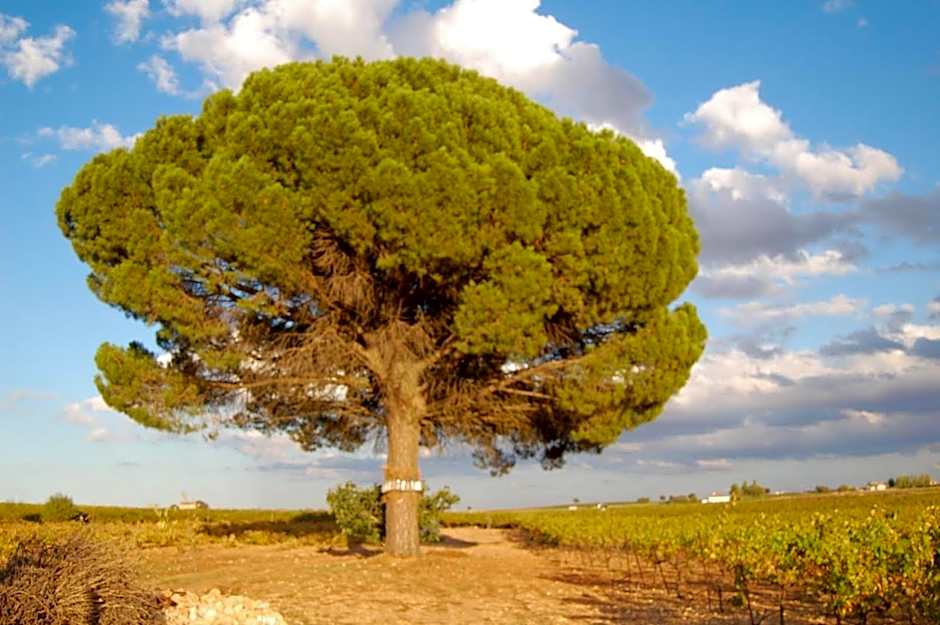 Hosteria Tierrallana by Juypehotel