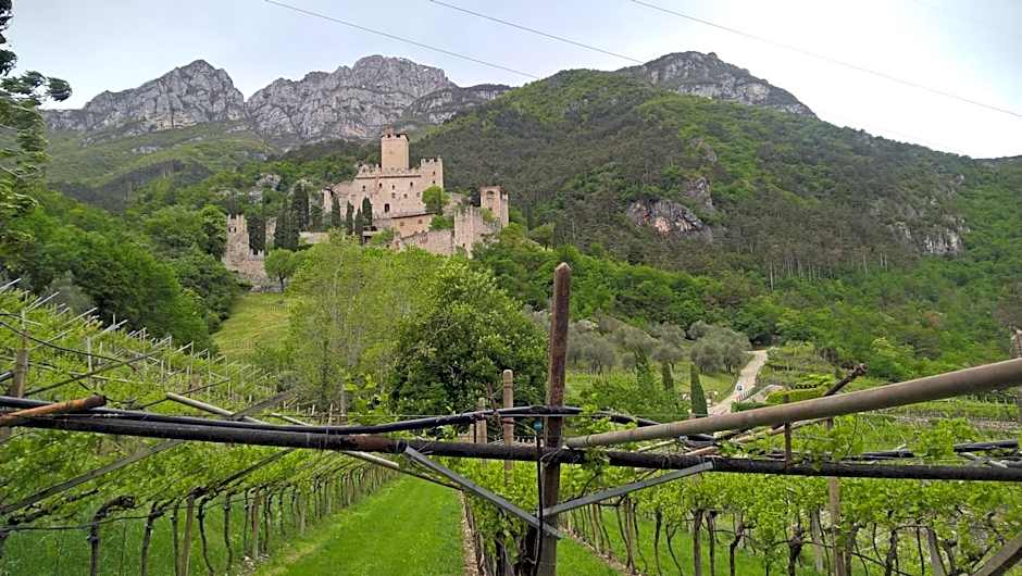 Appartamenti Camere Masi Brenta