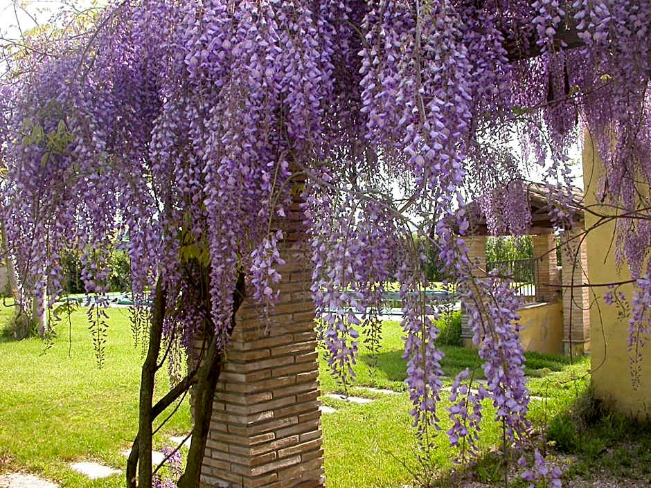 Casavacanze Sant'Eugenia