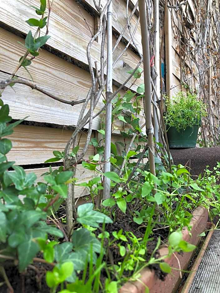 Le Coffice Auberge de Jeunesse