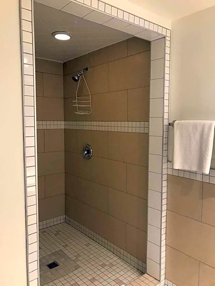 Coastal Inn - Kingfisher