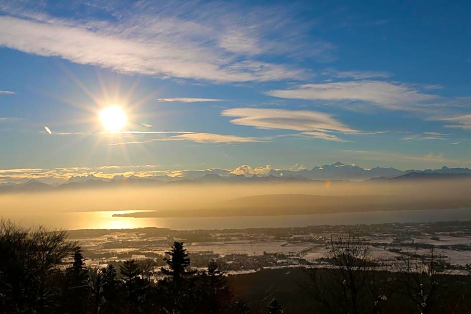 La Ferme de la Praz - Rooms with a View