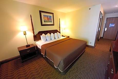 Single Room - Disability Access