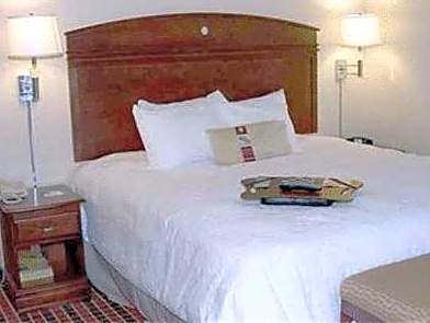 1 King Bed Non-Smoking