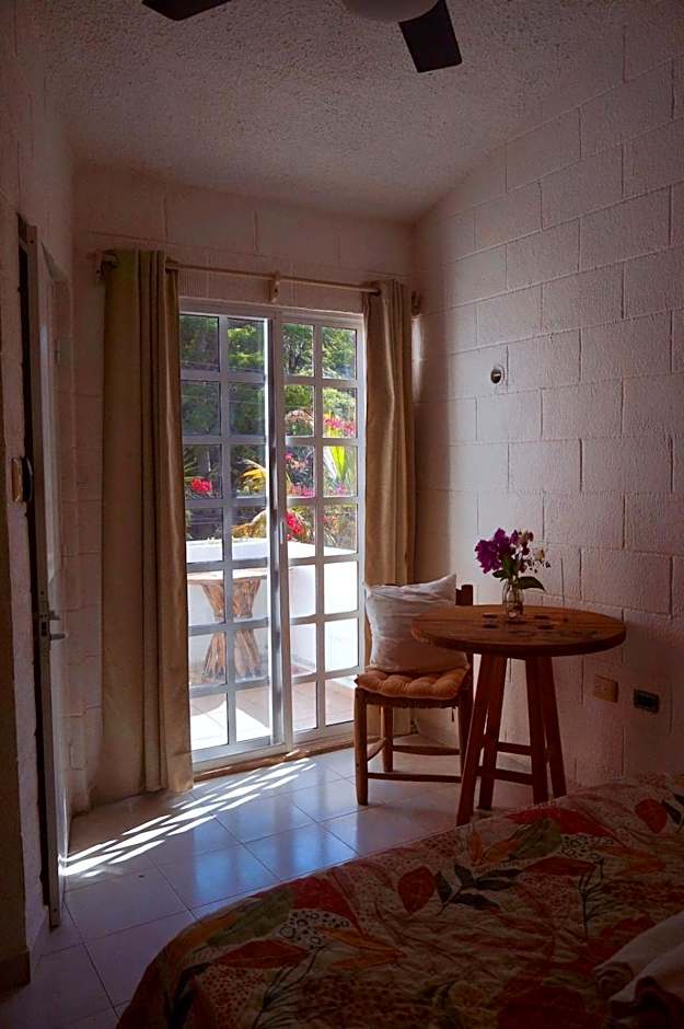 Casa Palmita