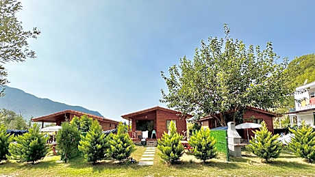 Hurmalik Aparts & Bungalows - Family Bungalows - Large Garden Bungalow with Barbecue