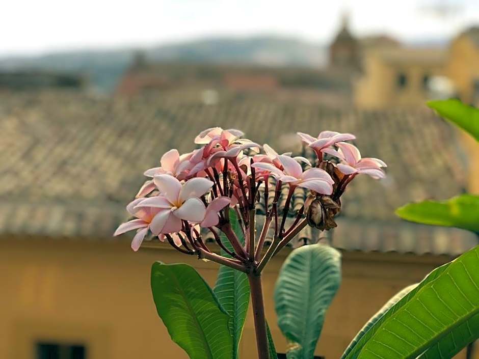 terrazze di montelusa