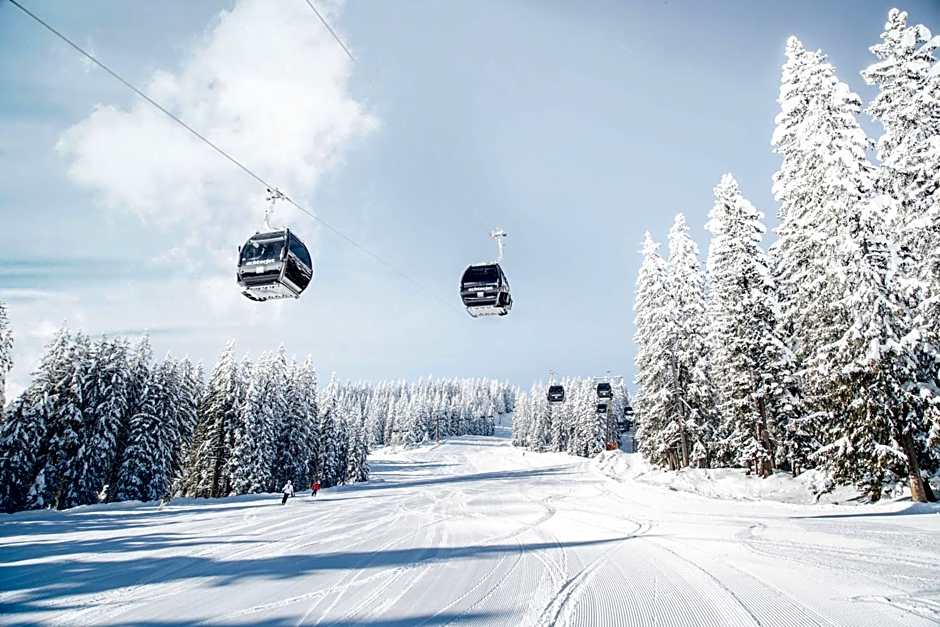 Alpines Lifestyle Hotel Tannenhof