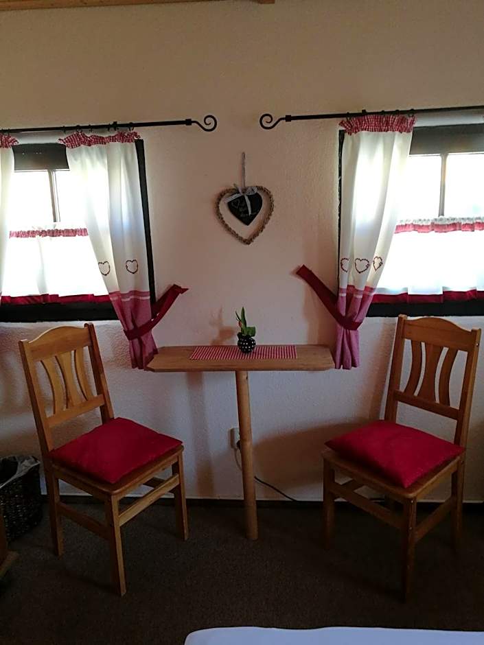 Elbhangzimmer Dresden