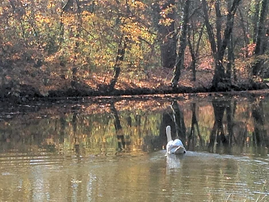 Chateau de Bresse sur Grosne
