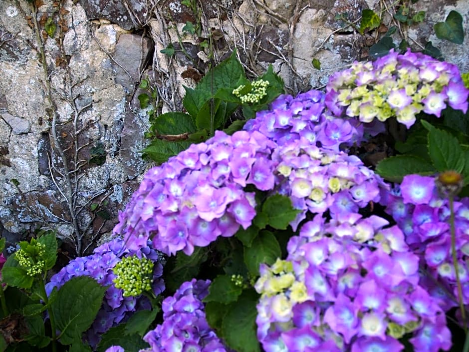 Prieure St Pierre de La Luthumiere