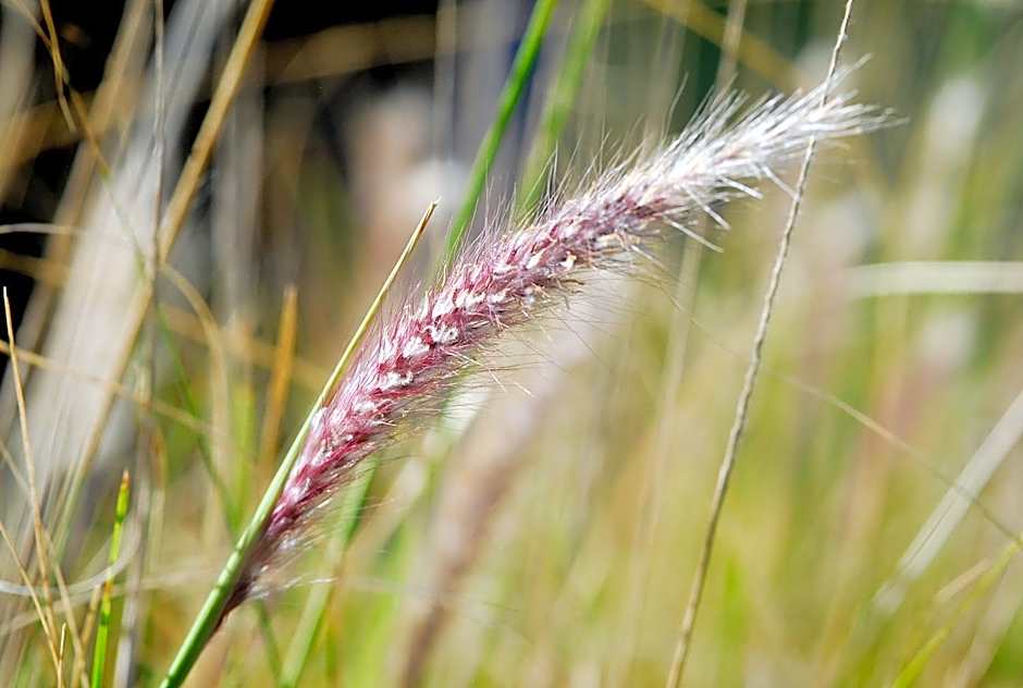 Esperance Island View Apartments