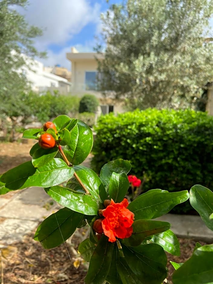 Maltese Garden Villa