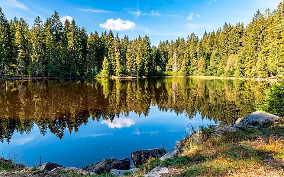 Hotel Bären Titisee