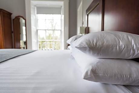 King Room with Garden View