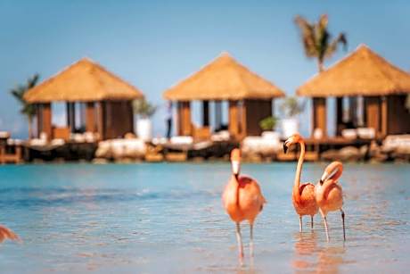 Renaissance Wind Creek Aruba Resort