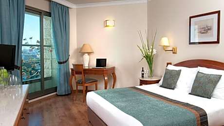 Standard Queen Room with City View