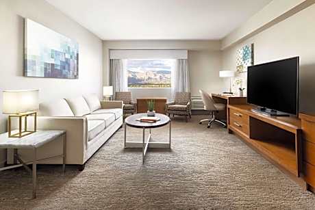 Executive King Room