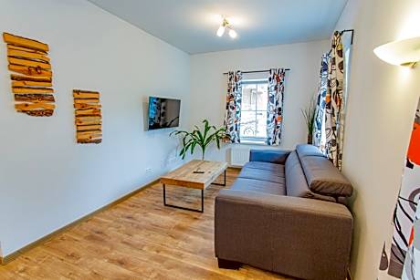 1-Bedroom Downtown View Apartment