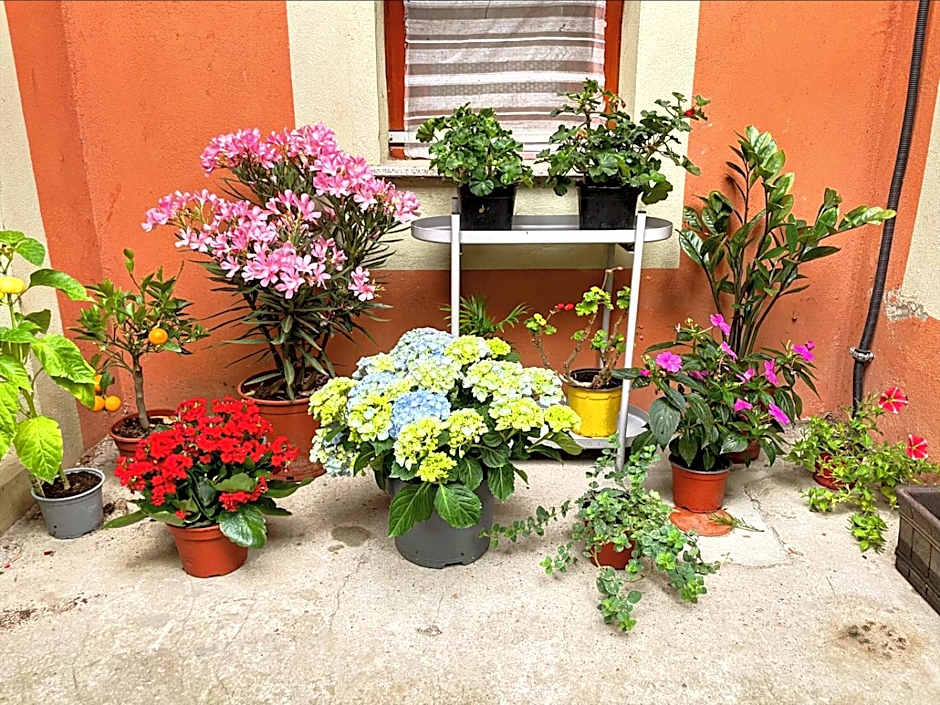 Balazs Guesthouse - in a green area, with our own garden - next to Metro 4 station