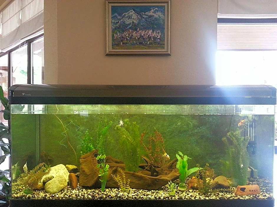 Winslow Infinity Aparthotel