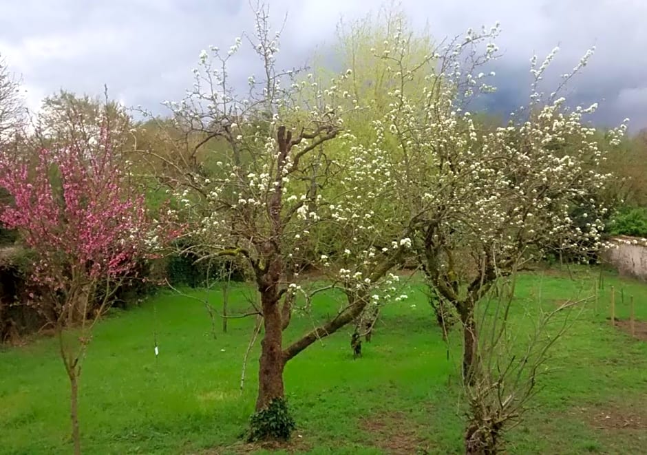 Chambres d'hôtes Coté Halles