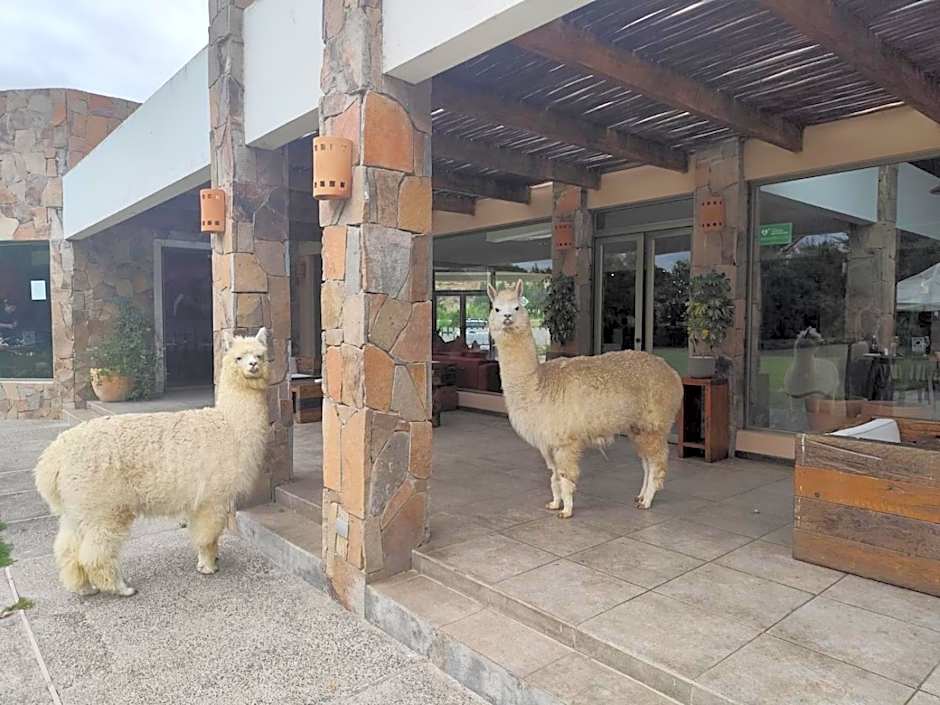 Hotel Limari