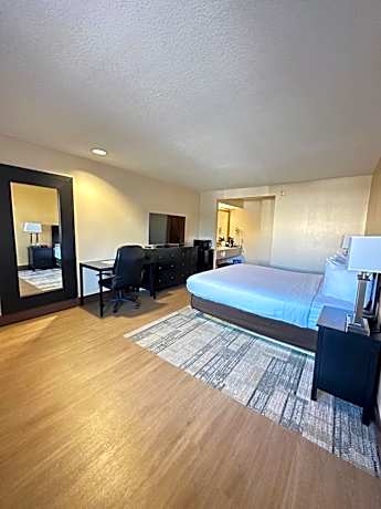 One King Size Bed