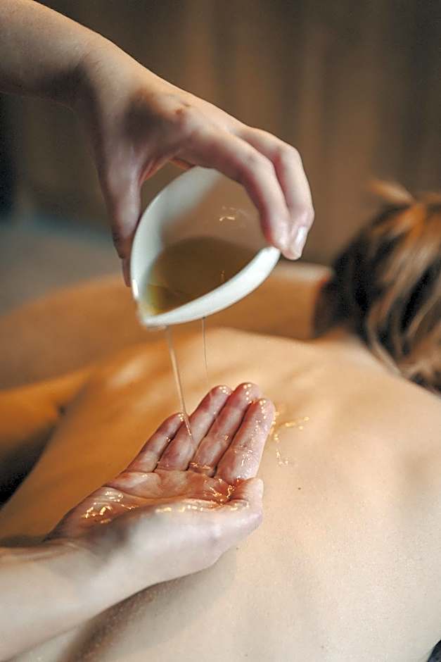 Best Western Plus Le Roi Arthur Hotel et Spa