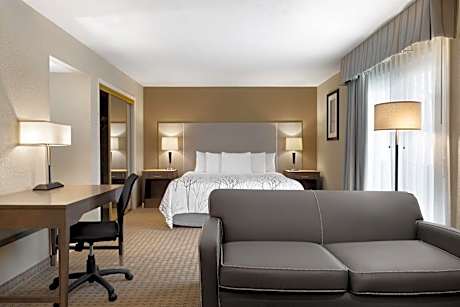 1 King Bed, Studio Suite, Non-Smoking