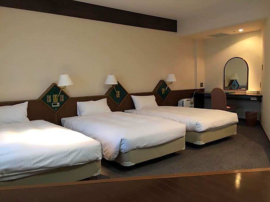 Hotel New Omi