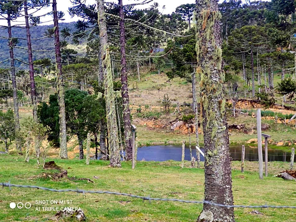 Cabanas das Araucárias