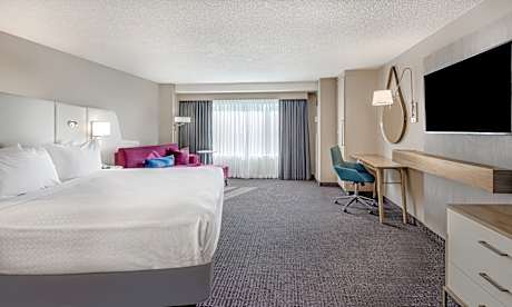 Standard King Room with Sofa Bed