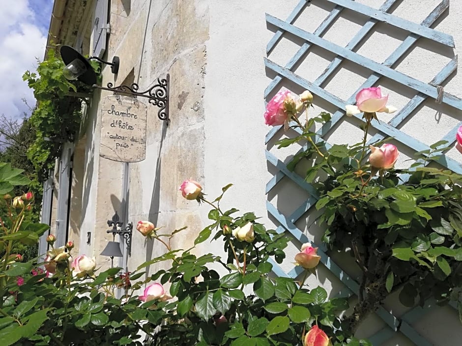 Varzay autour du puits