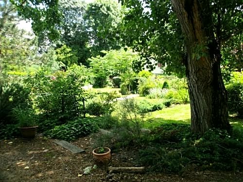 Le chalet du Bord de l'eau