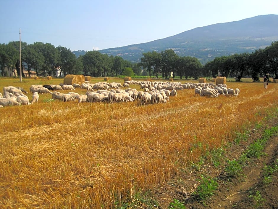 Il Tugurio Agriturismo B&B – Assisi, CT
