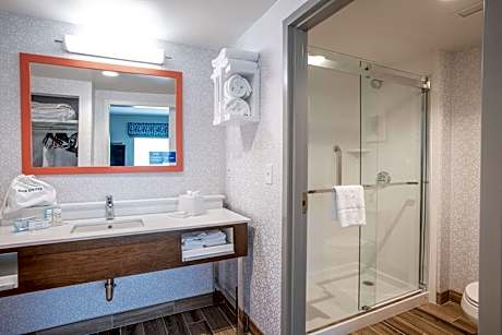 1 King Microwv/Fridge/Wet Bar Studio Suite Ns