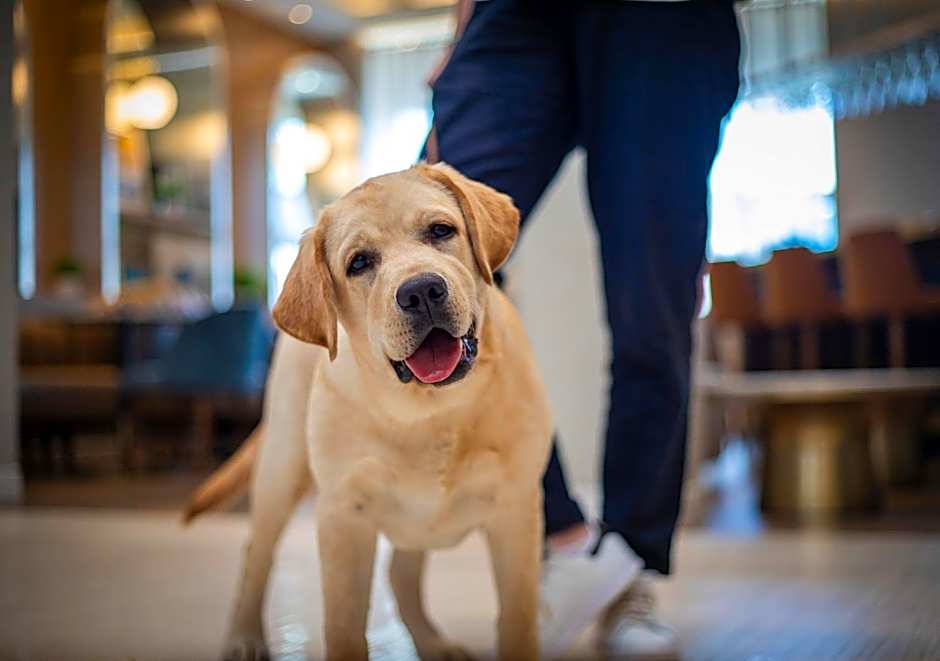 voco Fiorello - LaGuardia Airport by IHG