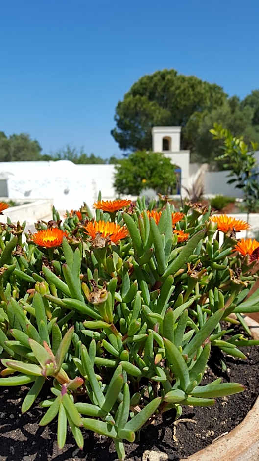 The Proud Garden – Carovigno, AR