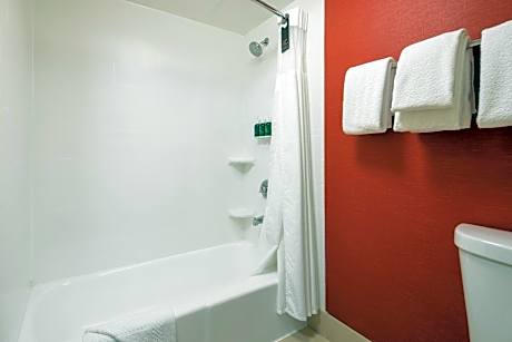 Suite, 1 King Bed with Sofa bed (1 King Bed and 1 Double Sofa Bed)