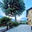 Bed & Breakfast L'Albero Maestro