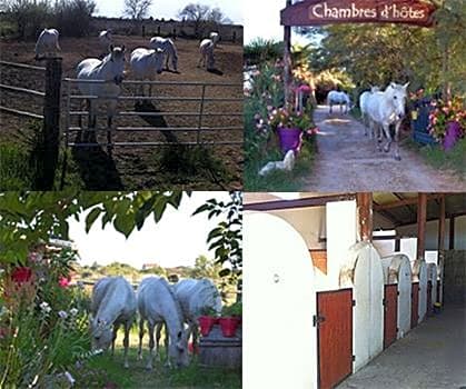 Gites Chambres d'hotes Mazet du Maréchal Ferrant