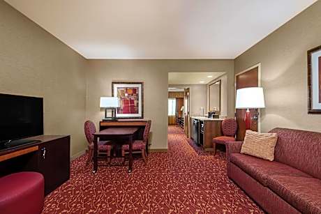 2 ROOM PREMIUM SUITE-1 KING BED-NONSMOKING