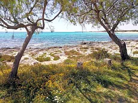 Punta Grossa - Porto Cesareo