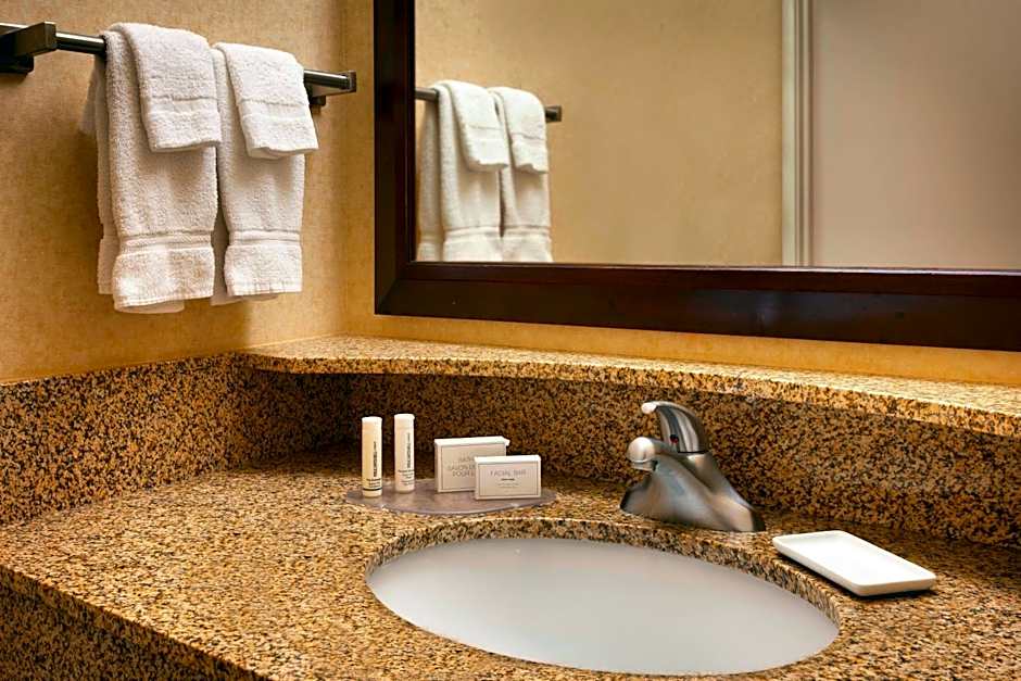 SpringHill Suites by Marriott Salt Lake City Downtown
