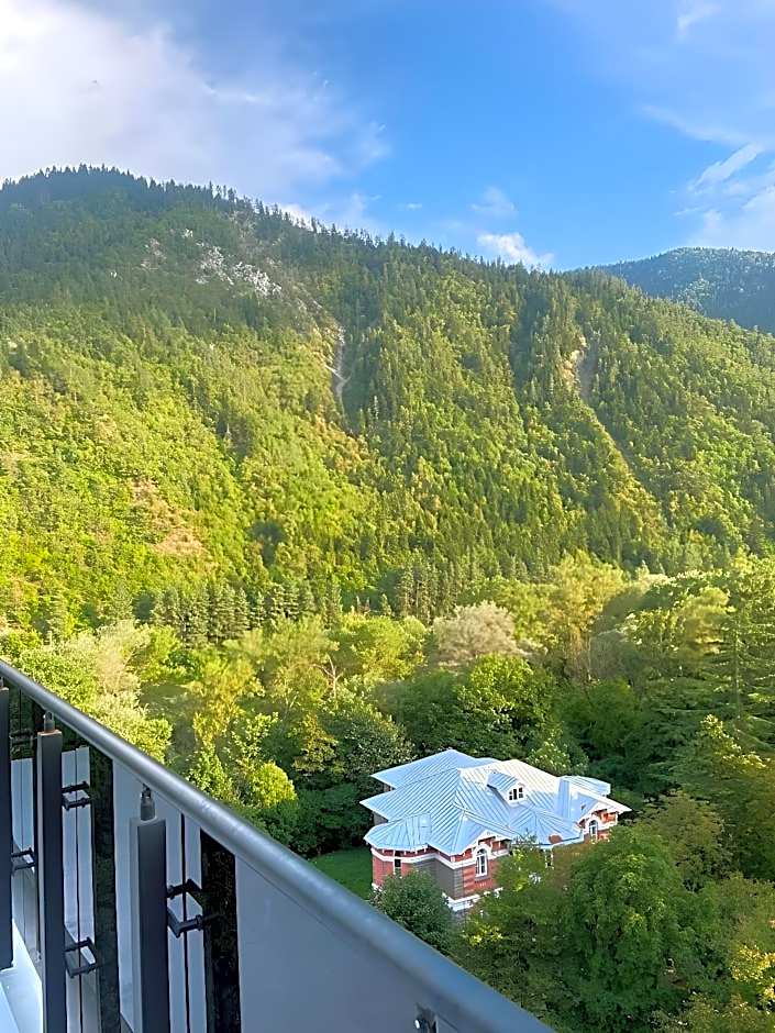 Borjomi Likani Health & Spa Centre