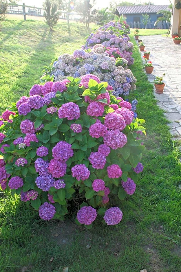 Paraje del Asturcon - Adults only