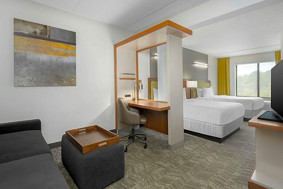 SpringHill Suites by Marriott Athens West