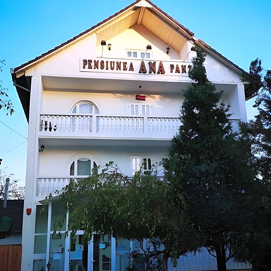 Pensiunea Ana